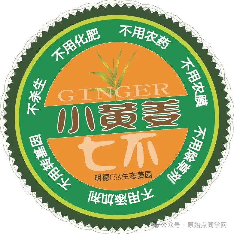 (广告)双11 除了七不姜,今天什么姜都别买！