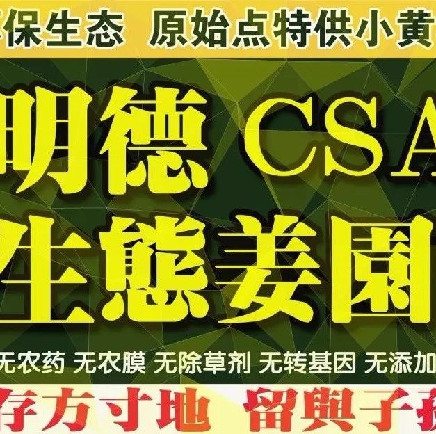 心法農業 福田心耕 明安事業繁榮祈禱文2022.11-七不姜 生姜養生網-明德CSA生態姜園&明安農業