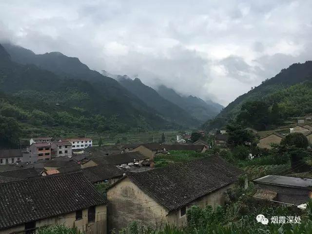 传统村落--溪港乡仁庄村（古村行013）- 秀美仙居 慈孝仁庄 明德生态姜园“七不”良心小黄姜发源地