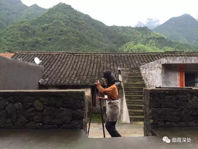 传统村落--溪港乡仁庄村（古村行013）- 秀美仙居 慈孝仁庄 明德生态姜园“七不”良心小黄姜发源地