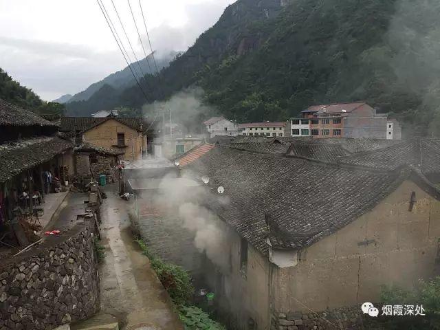 传统村落--溪港乡仁庄村（古村行013）- 秀美仙居 慈孝仁庄 明德生态姜园“七不”良心小黄姜发源地