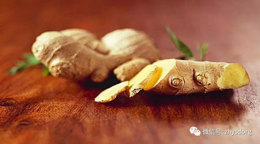 你了解原始点内热源 姜(薑)的种类和应用吗?鲜姜 土姜 老姜 小黄姜 大姜 姜母 子姜...-七不姜 生姜养生网-明德CSA生态姜园&明安农业