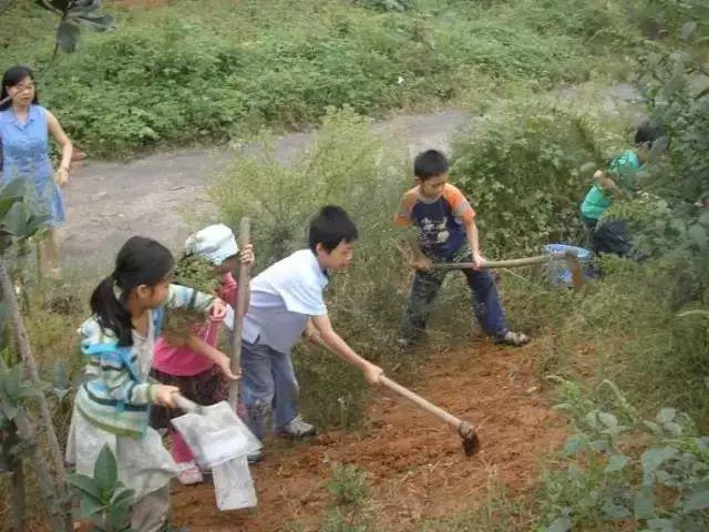 明安绿色生态乐和夏令营 -自然 生态 乐和 健康