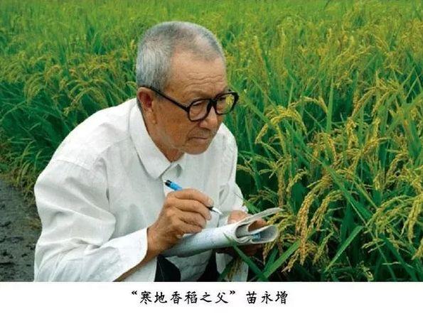 的确粮招募健康事业合伙人，无需投资