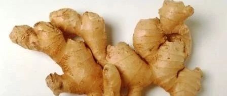 除了《紅樓夢》中的法制紫姜,紫姜和生姜鮮姜還有很多做法-七不姜 生姜養生網-明德CSA生態姜園&明安農業