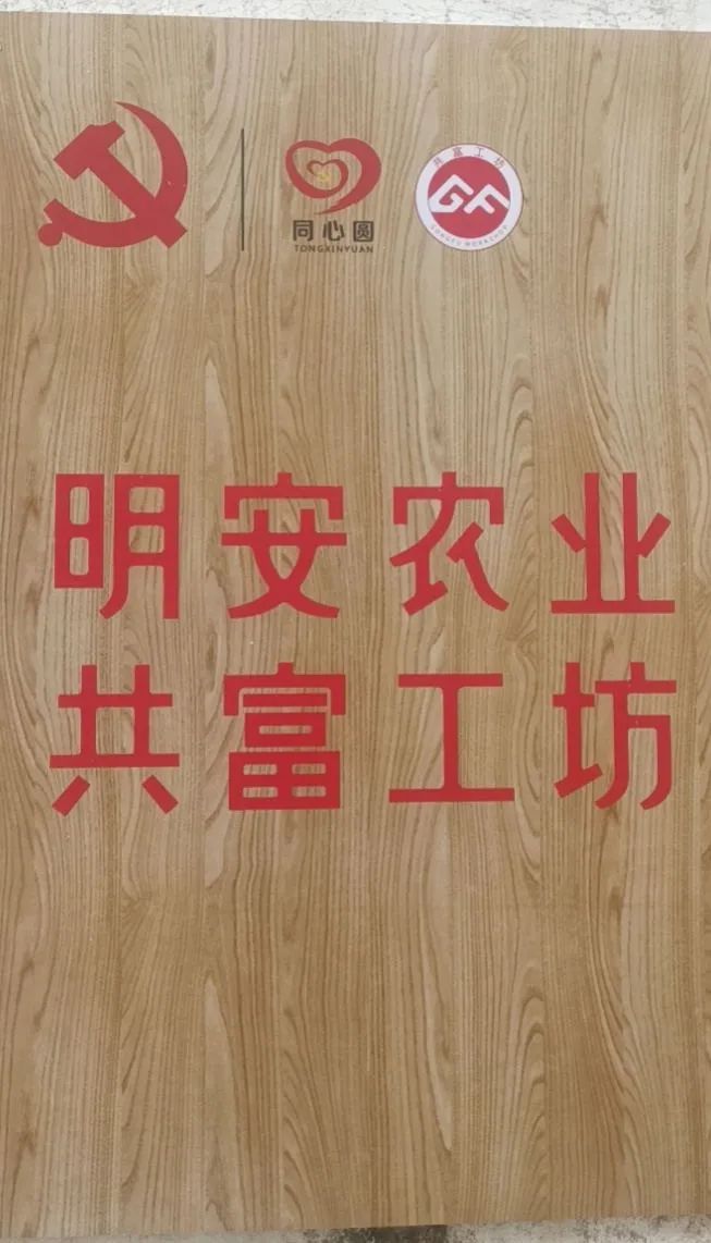 七不姜新加坡代理及浙江仙居集市 活动介绍。ヾ(●´∇｀●)ﾉ哇～招募分销代理诚招心法农业七不姜网络分销代理；