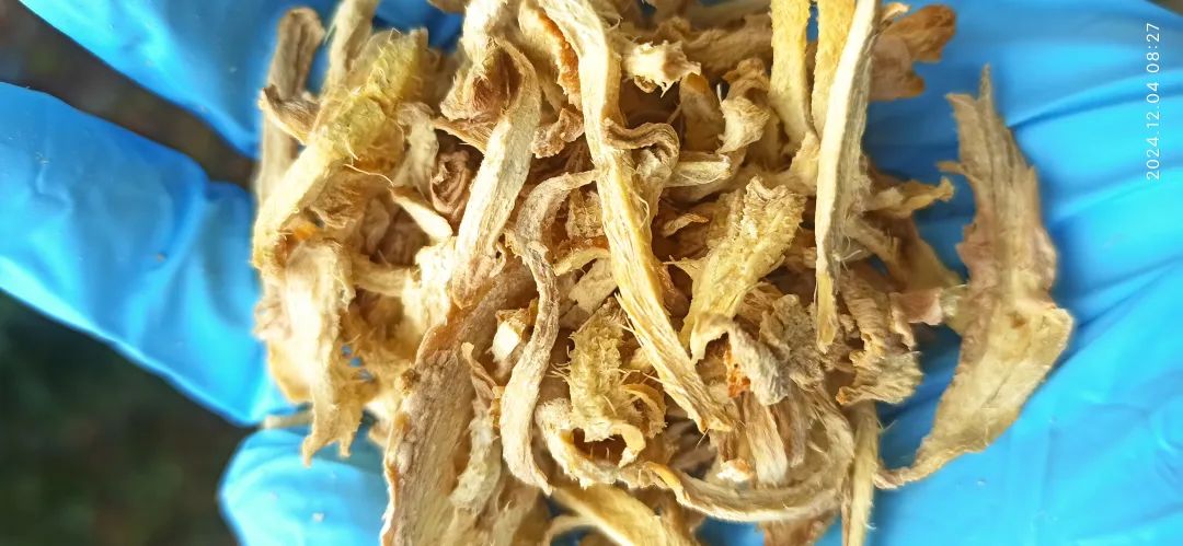 (广告)双12特惠促销 庆祝七不姜秋收完成