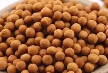 吃姜丸,喝姜湯哪個比較好?-七不姜 生姜養生網-明德CSA生態姜園&明安農業