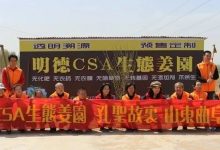 心法農業,福田心耕。明安事業繁榮祈禱文-七不姜 生姜養生網-明德CSA生態姜園&明安農業