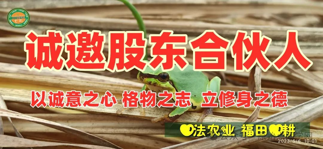 (广告)双11 除了七不姜,今天什么姜都别买！