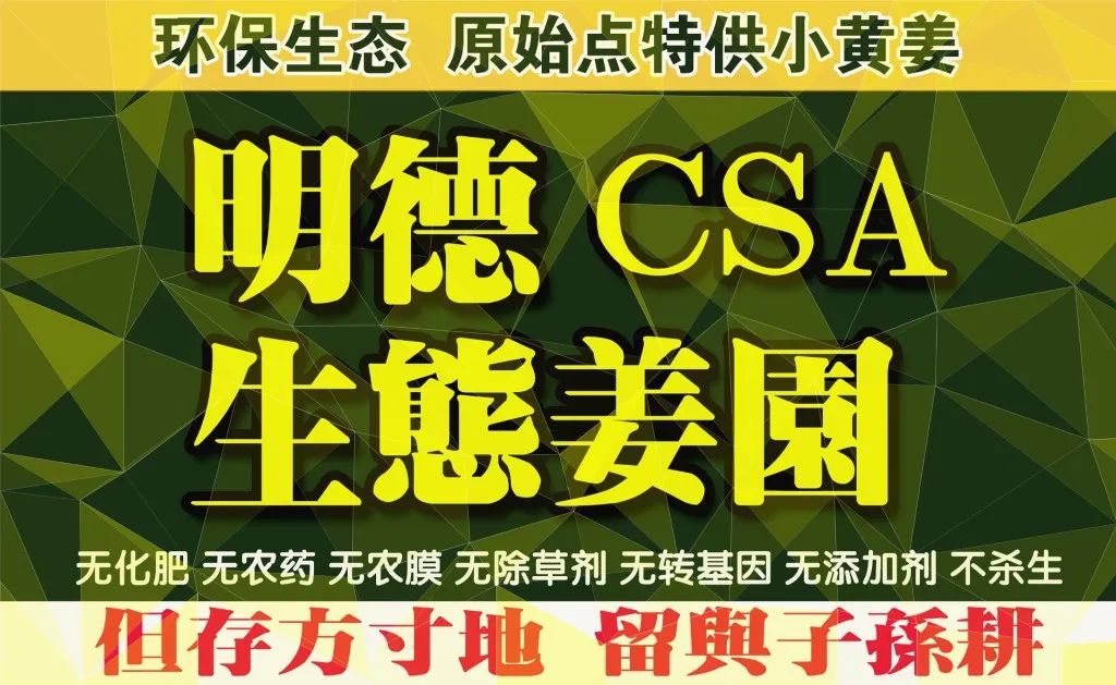 (广告)双11 除了七不姜,今天什么姜都别买！