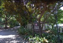 原始點調理糖尿病及尿頻案例 顧懷勇52歲寧夏固原人 2020年8月調理一個月后的改善-七不姜 生姜養生網-明德CSA生態姜園&明安農業